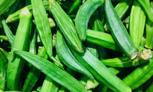 吃什么对心梗病人心脏好-促进心梗的食物有哪些网 :分享改善心梗预后的药物-促进心梗的药物知识